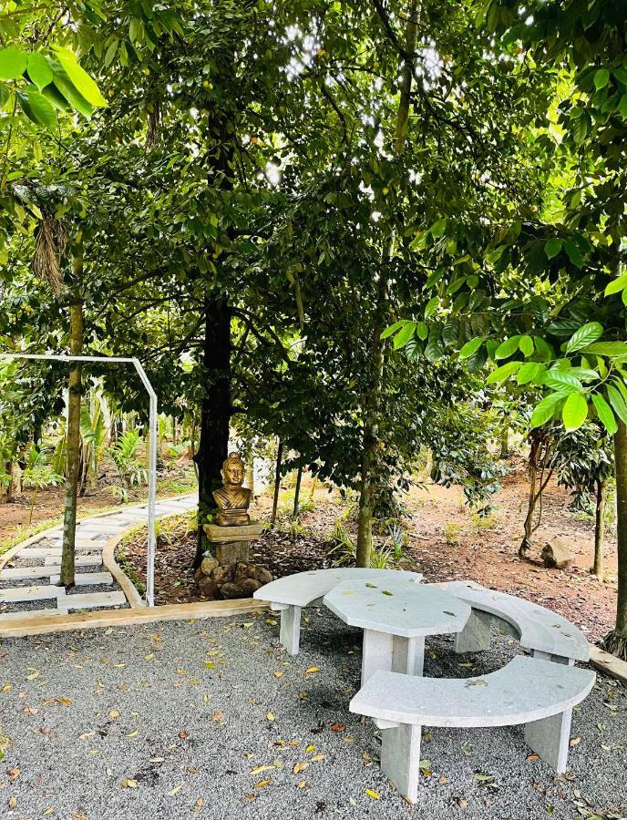 Kayyalas Courtyard Thrissur Luaran gambar