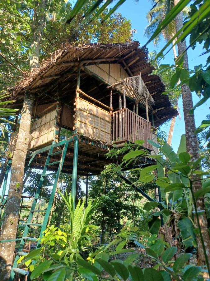 Kayyalas Courtyard Thrissur Luaran gambar